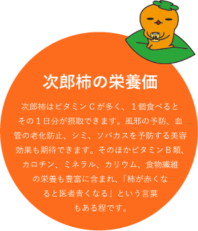 次郎柿の栄養価