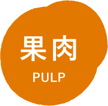 果肉